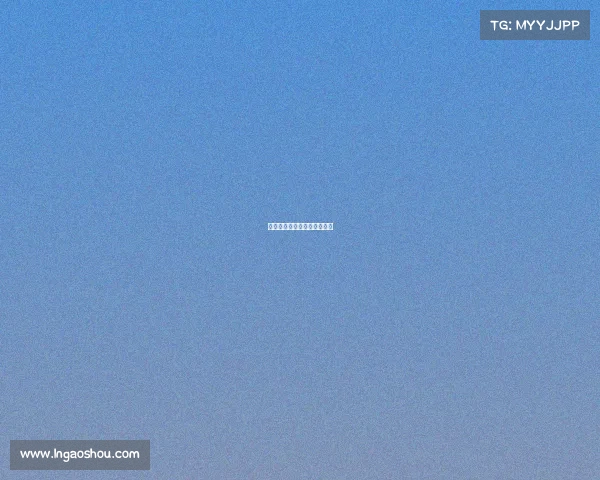 法老电子竞技—法老比赛视频